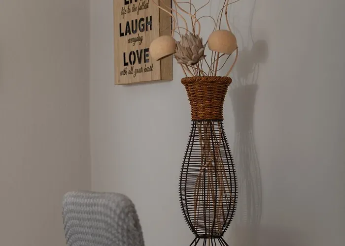 Elzo * Néosz Marmarász