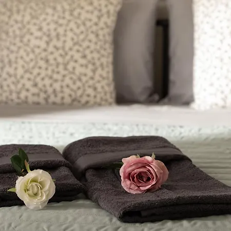 Appartamento Elzo Neos Marmaras